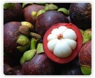 El Niño, su Salud y el Mangostán. II. La Fruta del Mangostán.