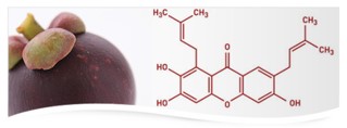 Garcinia mangostana. El Mangostán. II. Fórmula química de una Xantona.