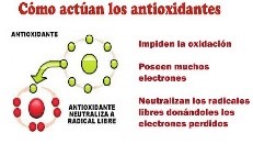 Cómo actúan los antioxidanes.