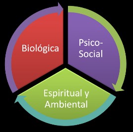 Existe una interacción Biopsicosocial que contribuyen al desarrollo de los diferentes trastornos mentales.