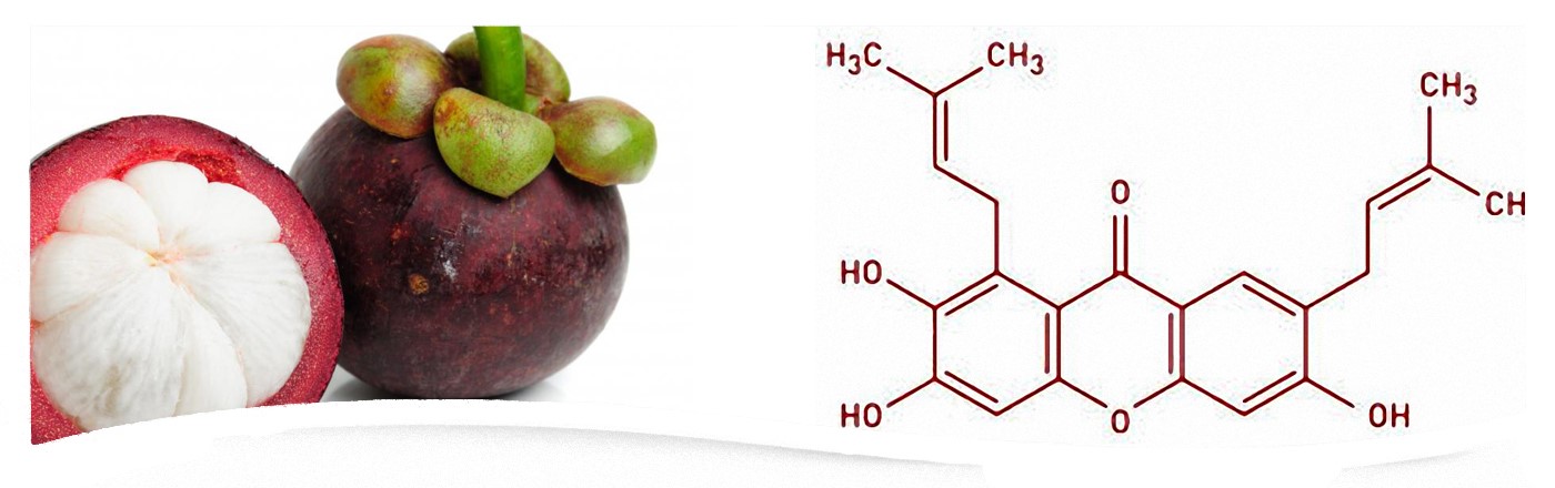 Suplemento Alimenticio para Todos. III. Fórmula química de una Xantona del Mangostán