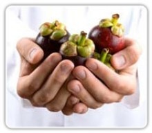 Suplemento Alimenticio para Todos. IV. La fruta del Mangostán