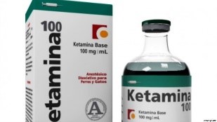 La Ketamina, se utiliza como anestésico de acción rápida.