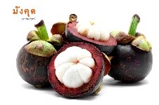 El Mangostán se ha usado como fruta medicinal en el Sureste de Asia por siglos.